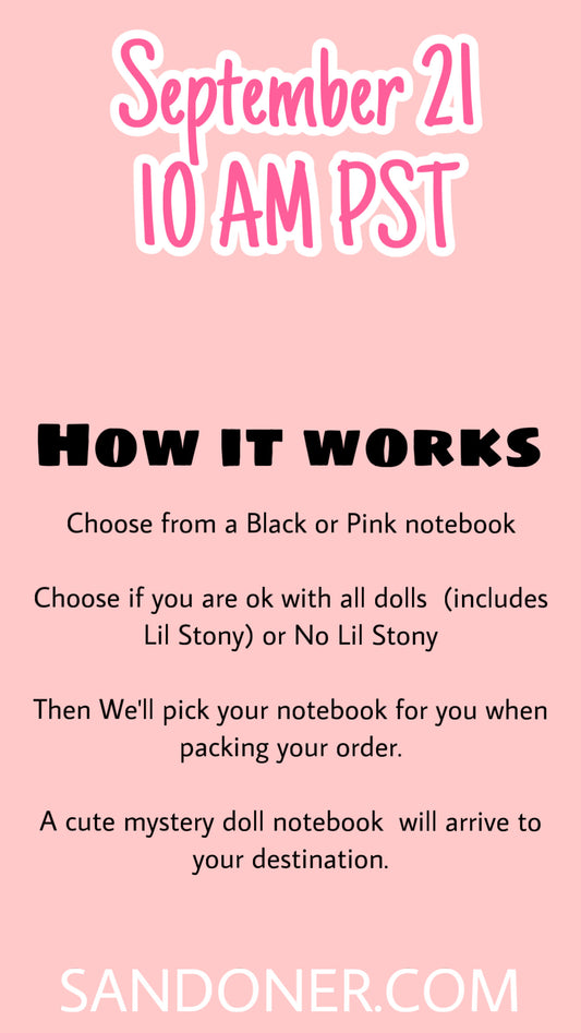 Mystery Notebook