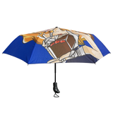 Compact Umbrellas 2020
